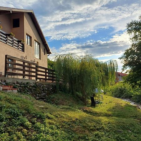 Casa Radu Lägenhet Novaci-Străini Exteriör bild