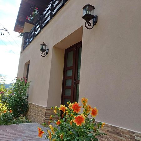Casa Radu Lägenhet Novaci-Străini Exteriör bild