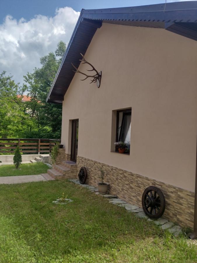 Casa Radu Lägenhet Novaci-Străini Exteriör bild