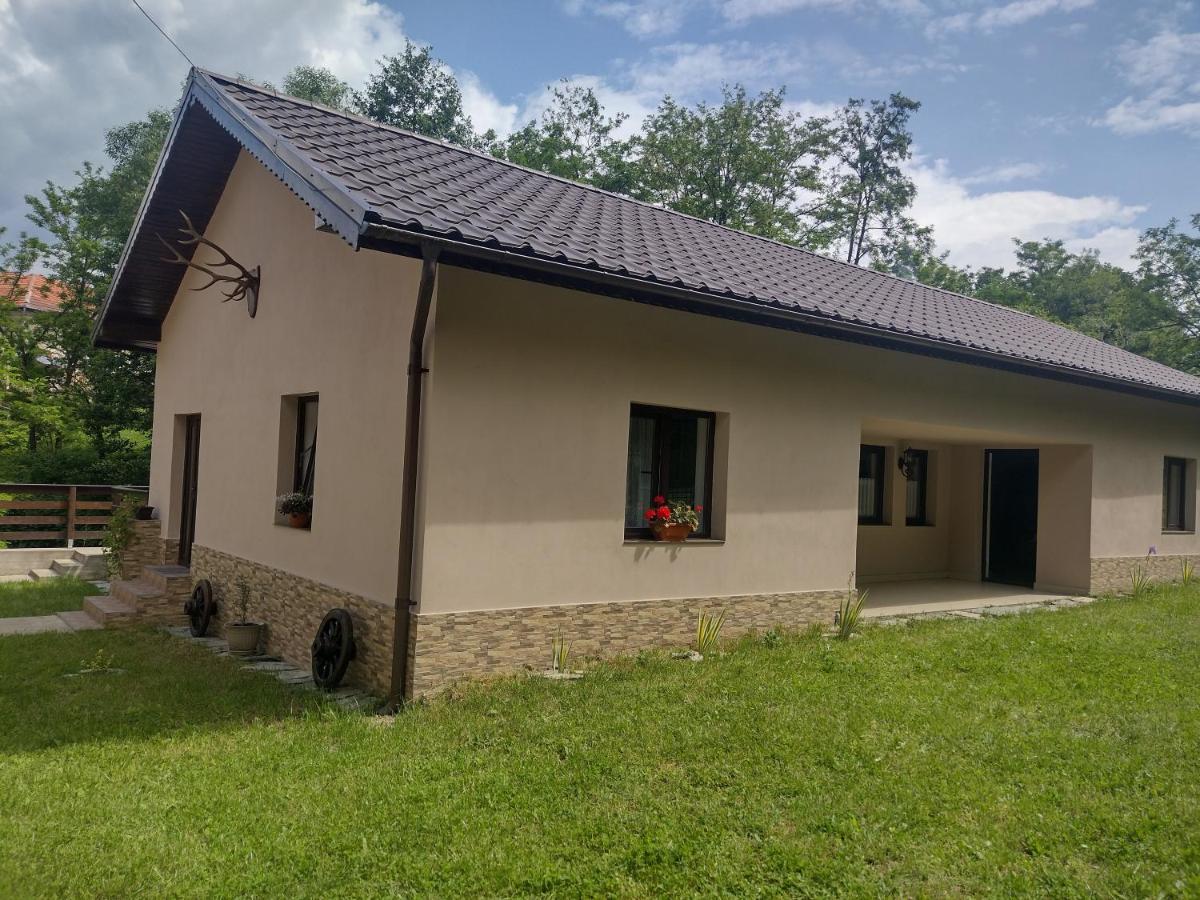 Casa Radu Lägenhet Novaci-Străini Exteriör bild