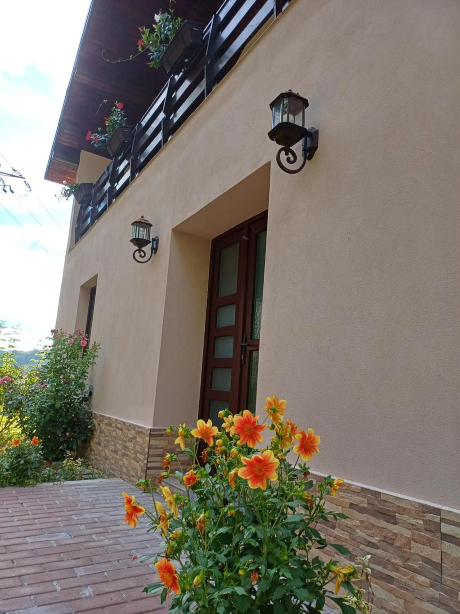 Casa Radu Lägenhet Novaci-Străini Exteriör bild