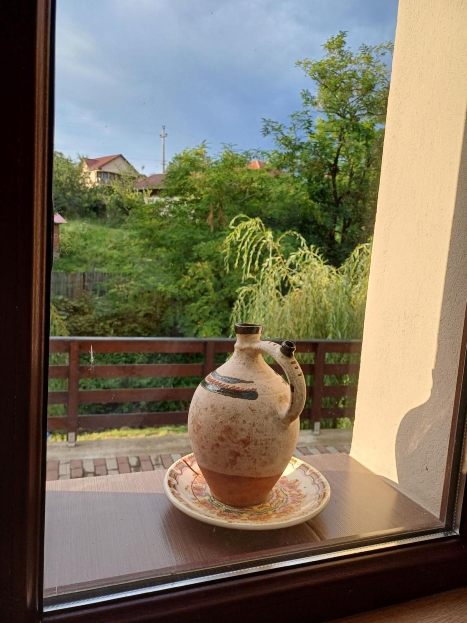Casa Radu Lägenhet Novaci-Străini Exteriör bild