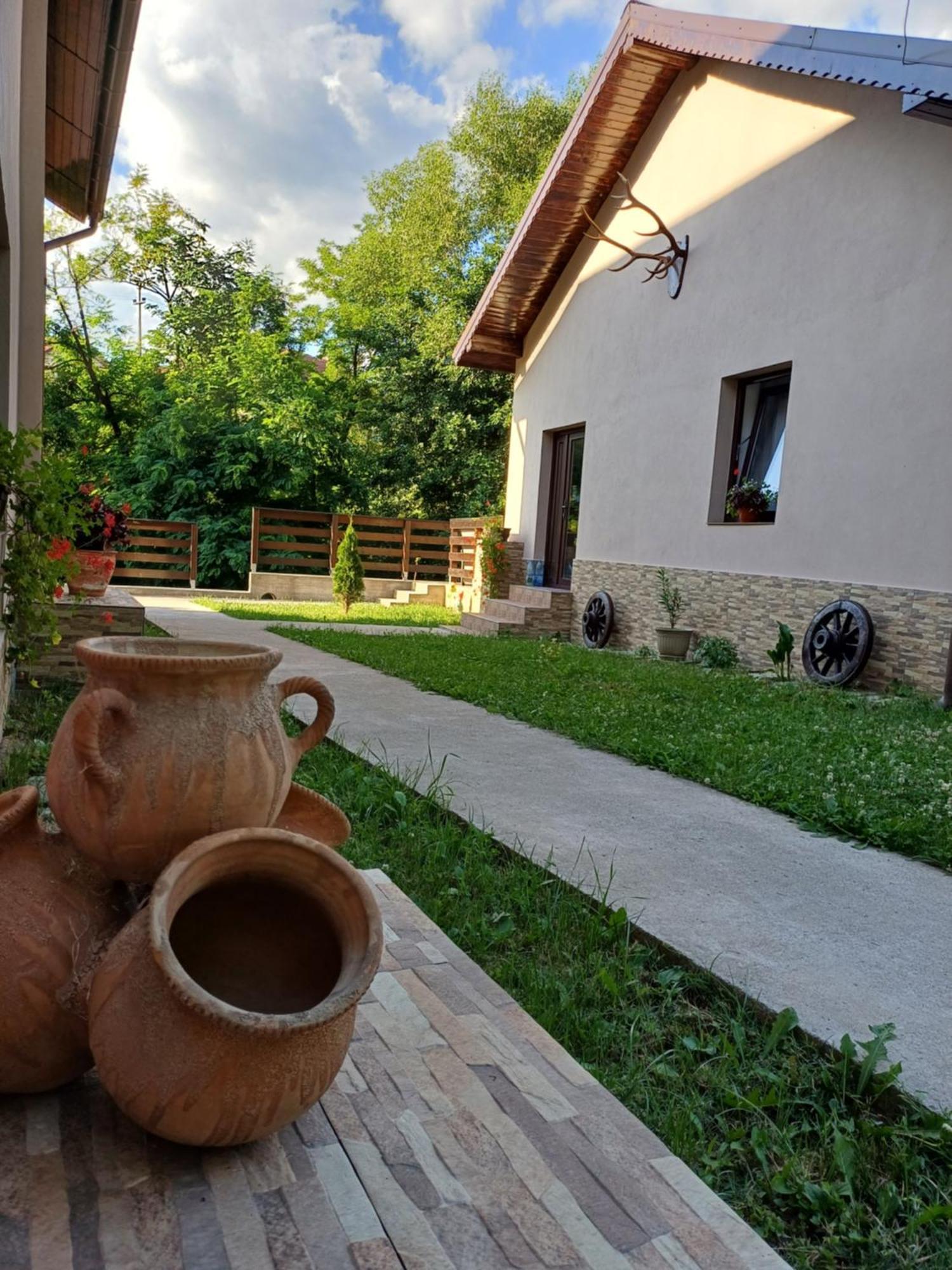 Casa Radu Lägenhet Novaci-Străini Exteriör bild