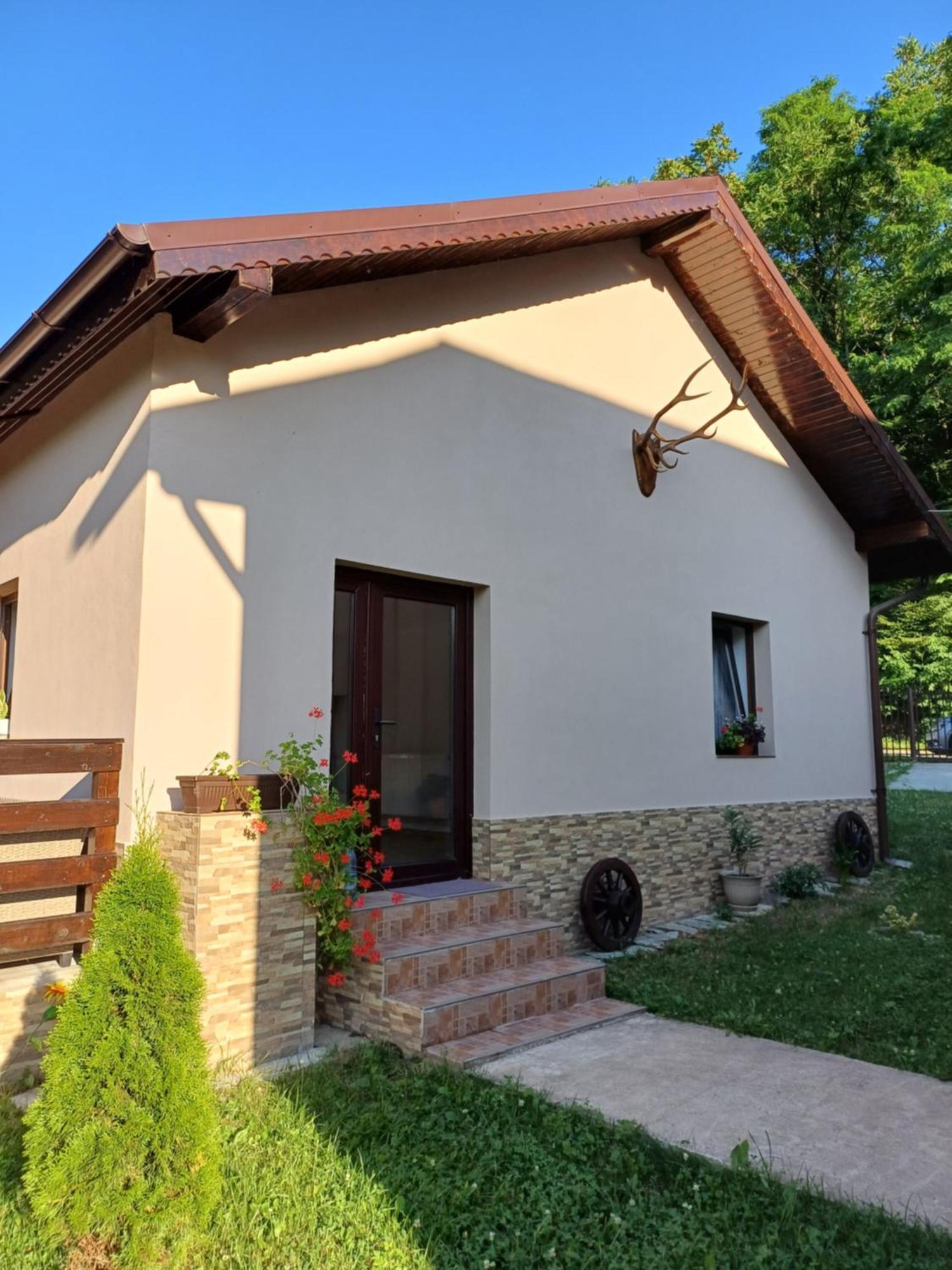 Casa Radu Lägenhet Novaci-Străini Exteriör bild